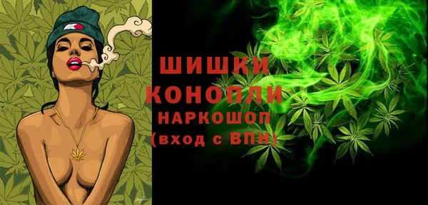 ГАЛЛЮЦИНОГЕННЫЕ ГРИБЫ Сатка