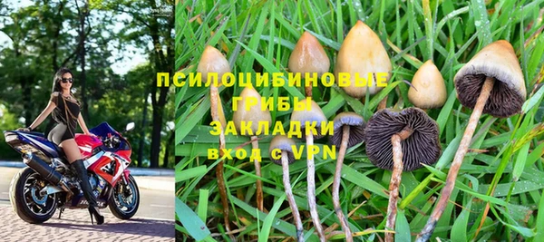 трава Верея