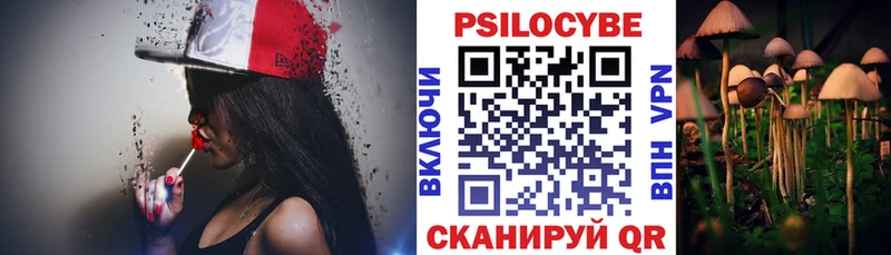 Псилоцибиновые грибы MAGIC MUSHROOMS купить закладку Зеленокумск